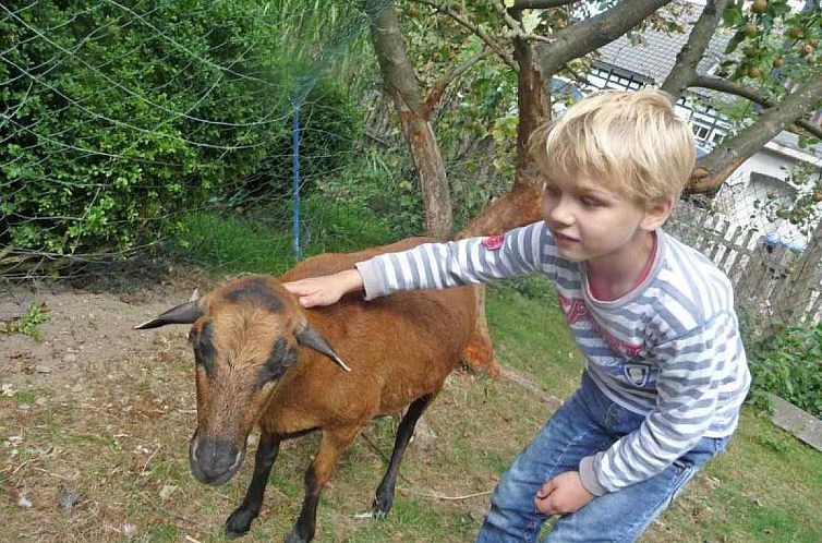 Comfortabel 5 persoons vakantiehuis op de boerderij in