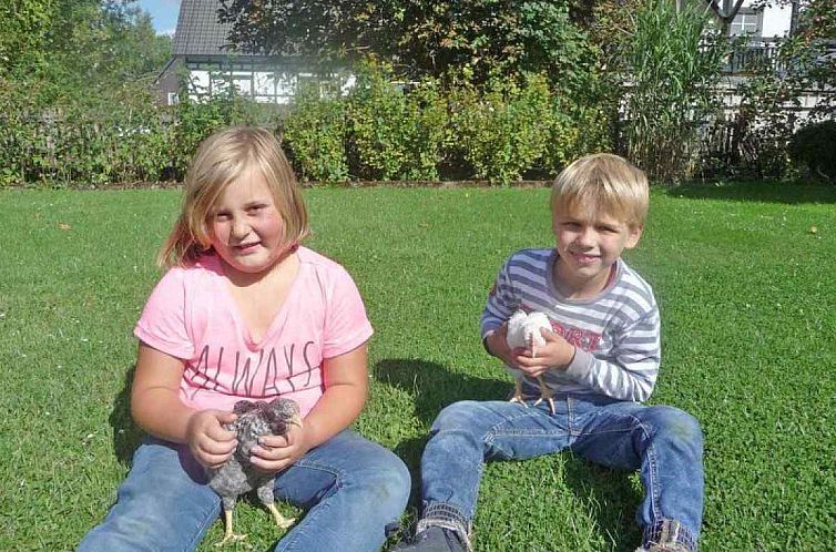 Comfortabel 5 persoons vakantiehuis op de boerderij in