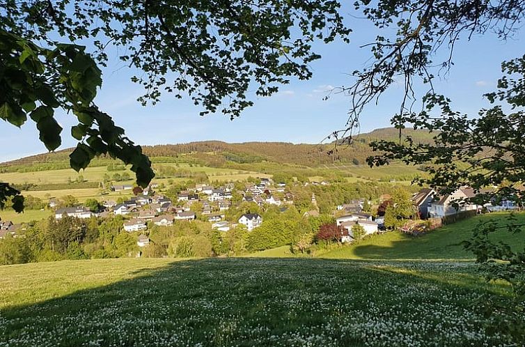 Vakantiehuisje in Olsberg