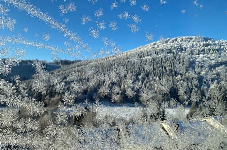 Vakantiehuisje in Winterberg