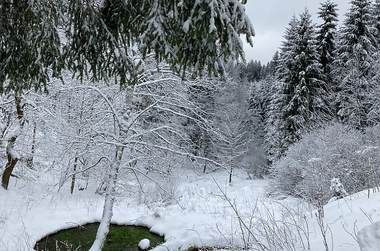 Huisje in Winterberg