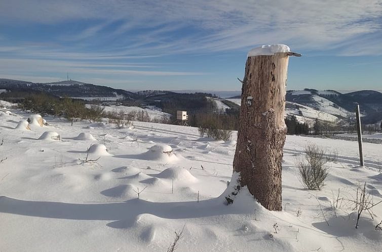 Vakantiehuisje in Winterberg