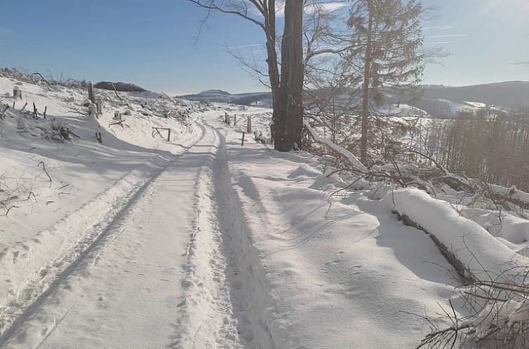 Vakantiehuisje in Winterberg