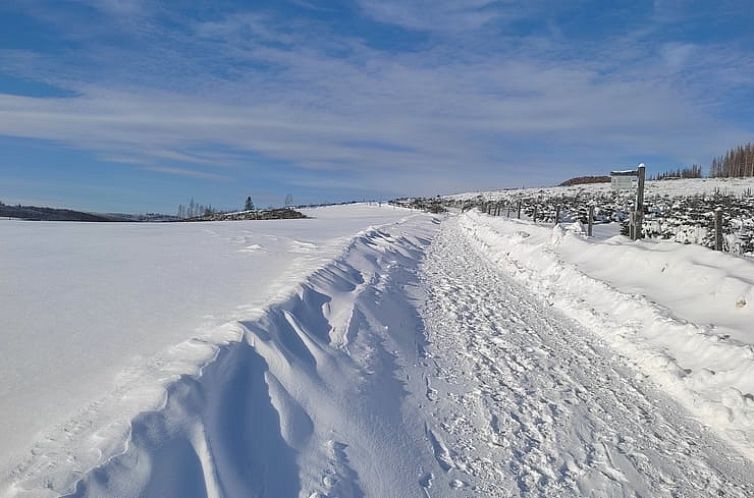 Vakantiehuisje in Winterberg