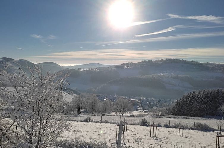 Vakantiehuisje in Winterberg