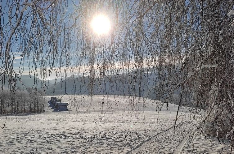 Vakantiehuisje in Winterberg