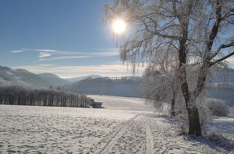 Vakantiehuisje in Winterberg