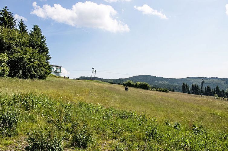 Appartement Blick ins Grüne