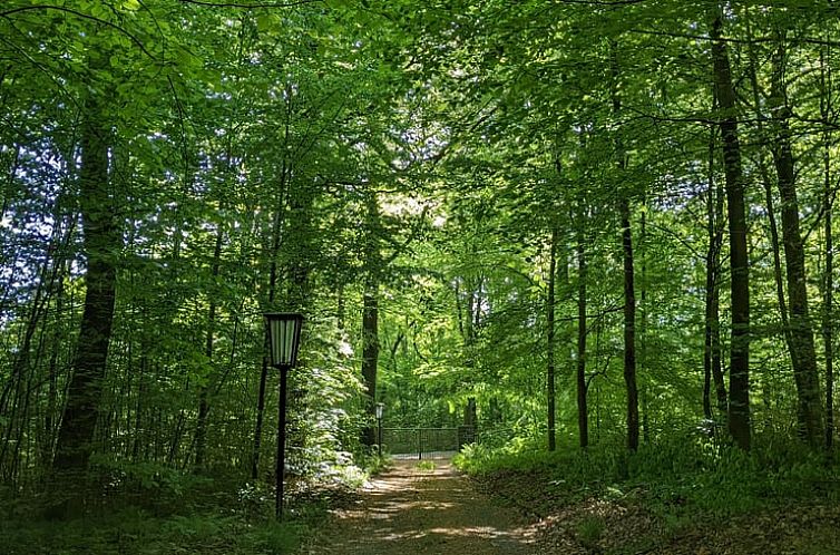 Huisje in Hartenstein Sachsen