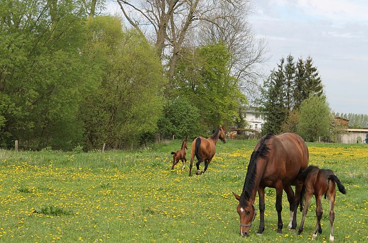 Am Hellbachtal Nr 2