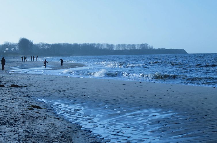 Koppelblick & Heidenholz XXL