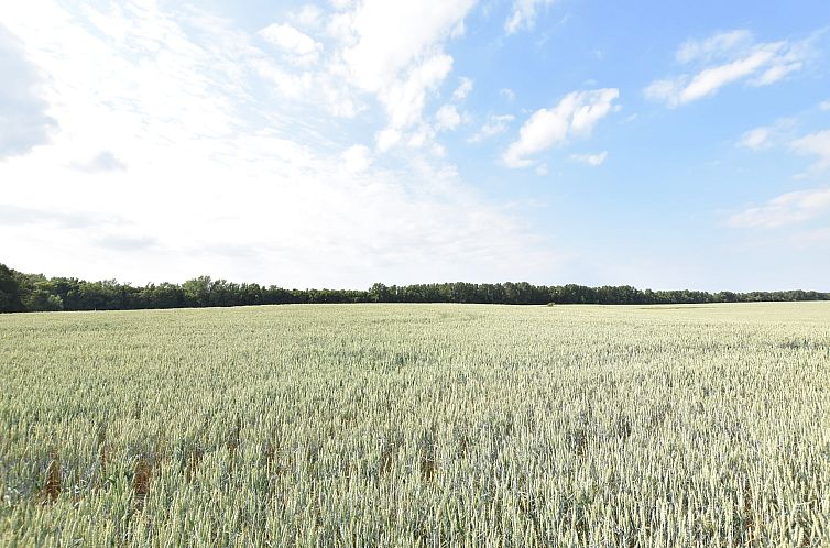 Koppelblick & Heidenholz XXL