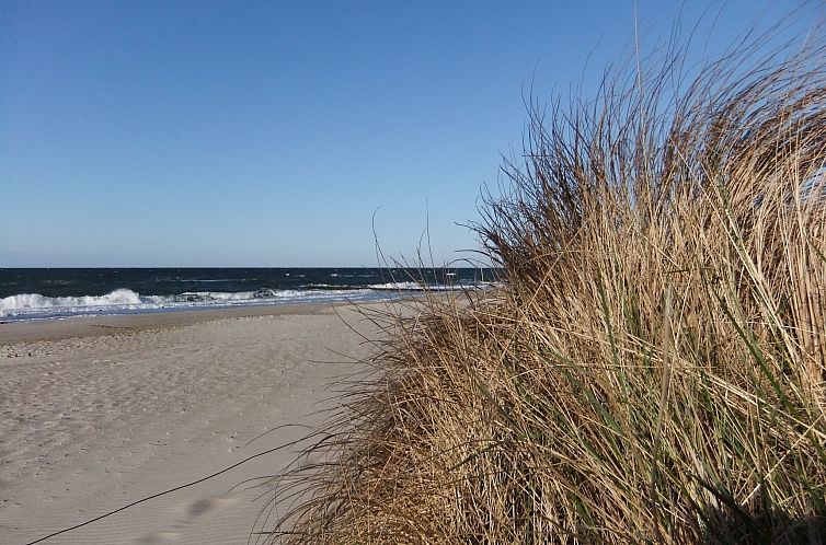 Ferienwohnung Eva mit Meerblick - strandnah