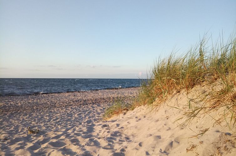 strandnahes Ferienhaus Walter mit Meerblick