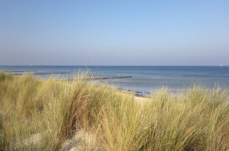 strandnahes Ferienhaus Walter mit Meerblick