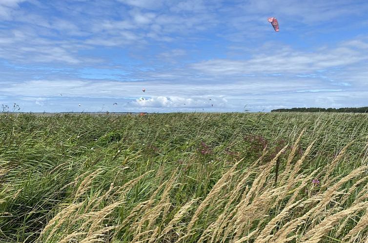 Vakantiehuis Pusteblume