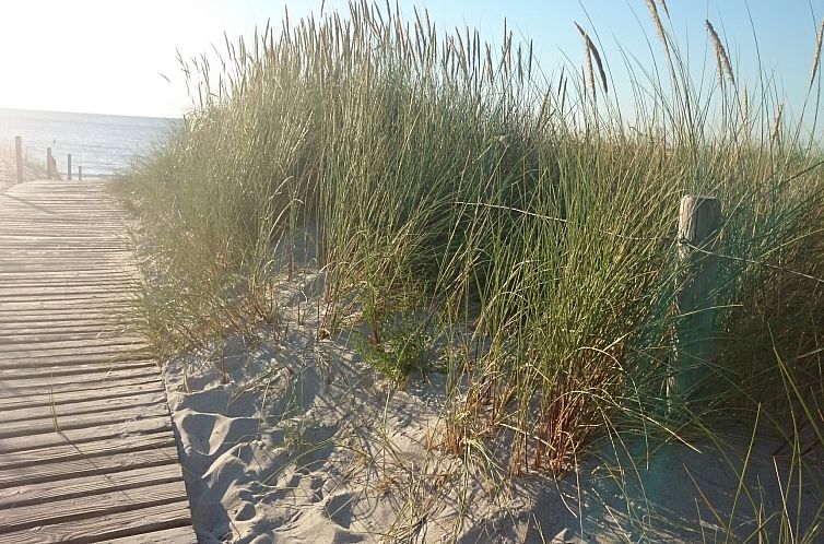 Strandnahe Finnhütte