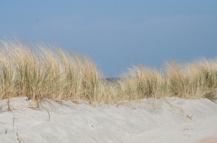 Strandnahe Finnhütte