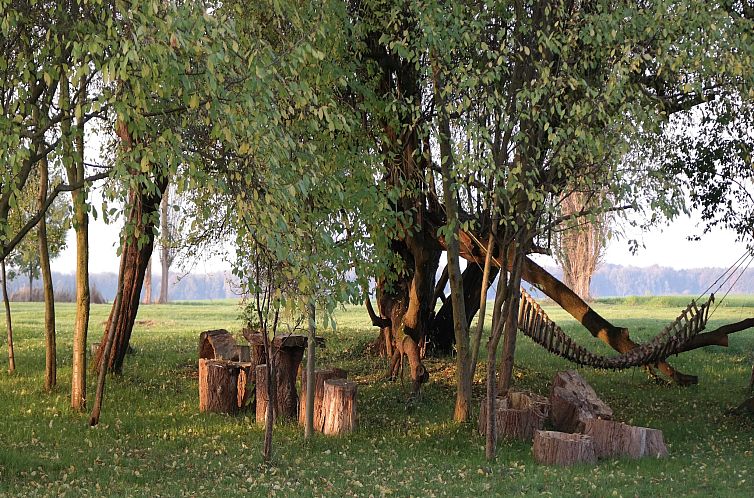 Familienferien in ländlicher Idylle 3