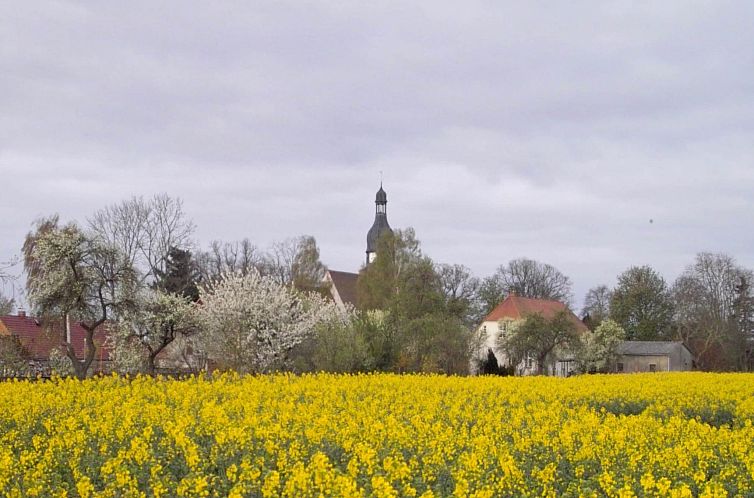 Familienferien in ländlicher Idylle 3