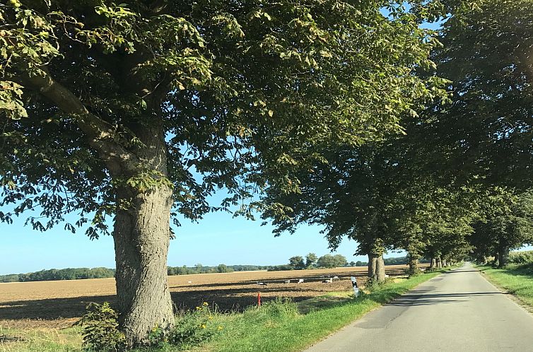 Familienferien in ländlicher Idylle 3