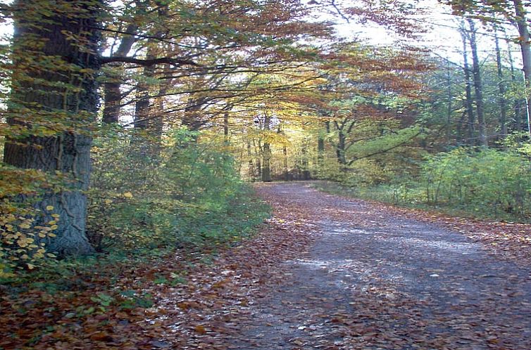 Ferienwohnung am Wald mit Garten