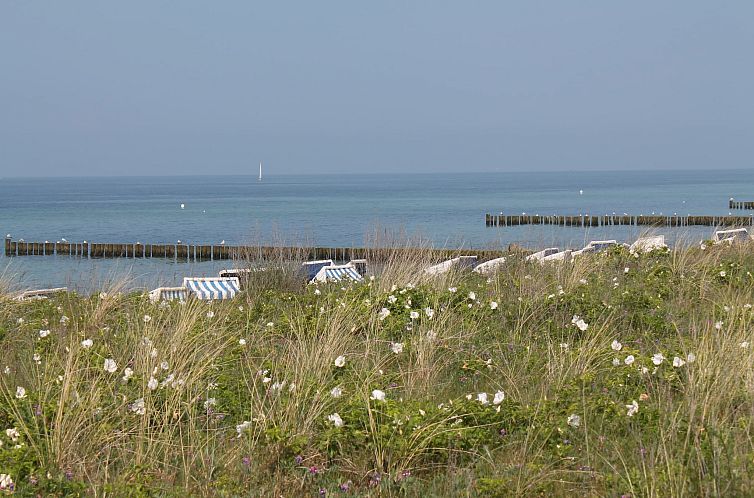 Ferienhaus Fritz mit OstseeWeitblick