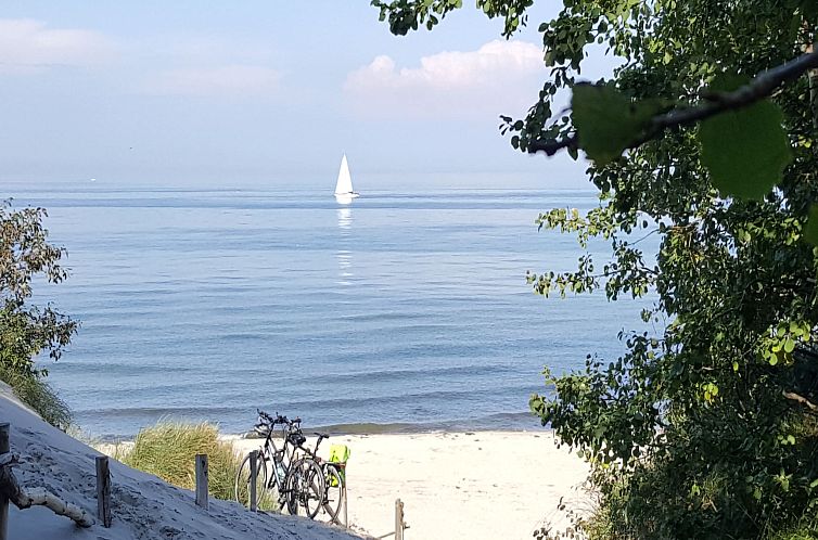 Sunflower B auf der Halbinsel Fischland Darß