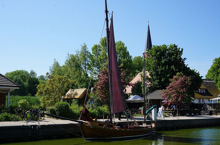 Sunflower B auf der Halbinsel Fischland Darß