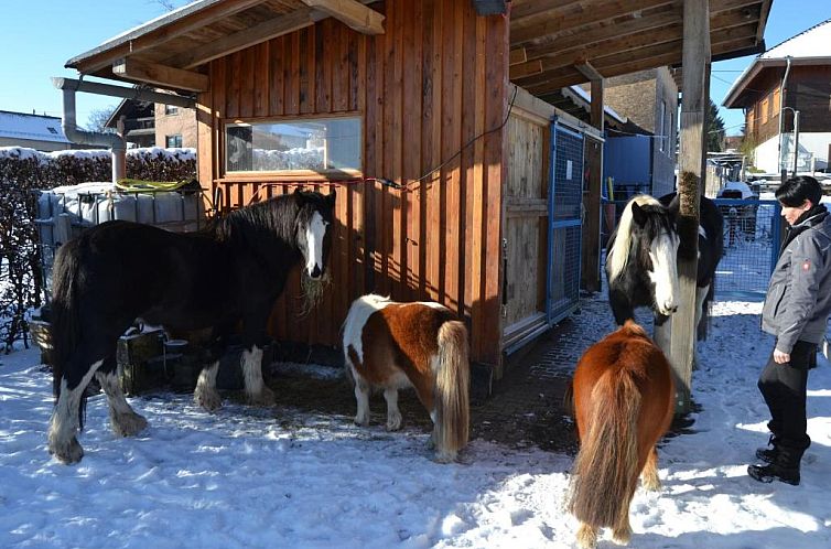 Ferien bei Freunden im Holzhaus