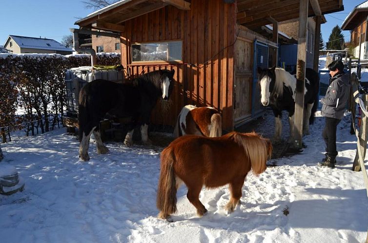 Ferien bei Freunden im Holzhaus