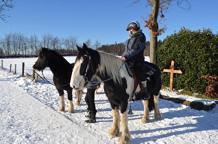 Ferien bei Freunden im Holzhaus