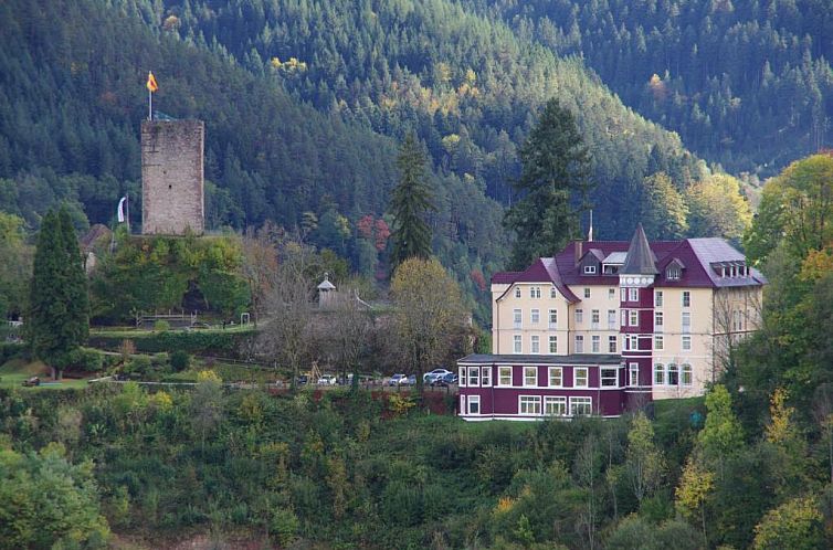 Hotel Schloss Hornberg