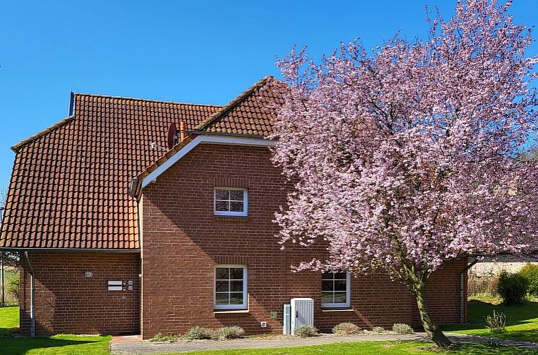 Appartement im Dörp