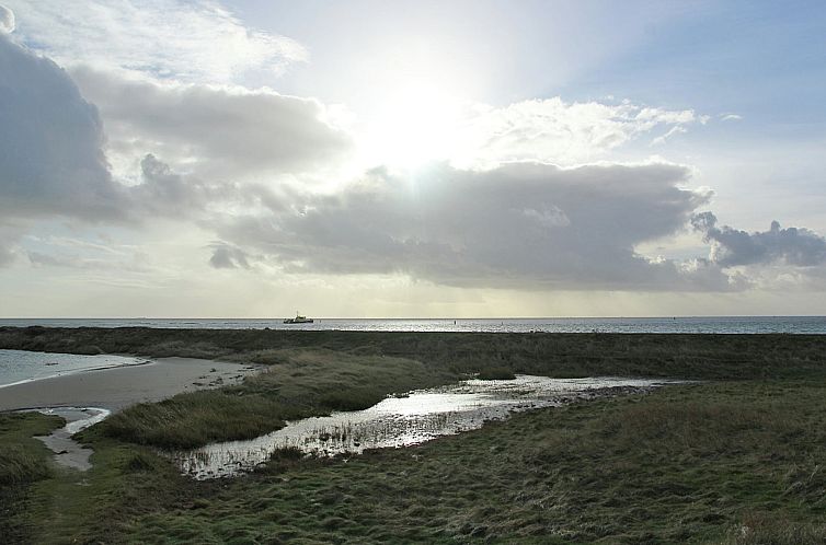 Duindroom op Terschelling