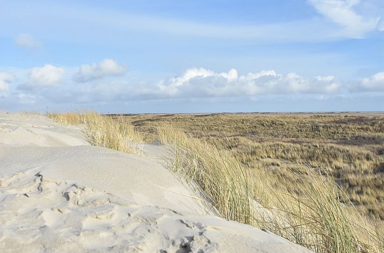 Duindroom op Terschelling