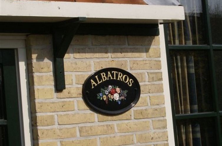 albatros