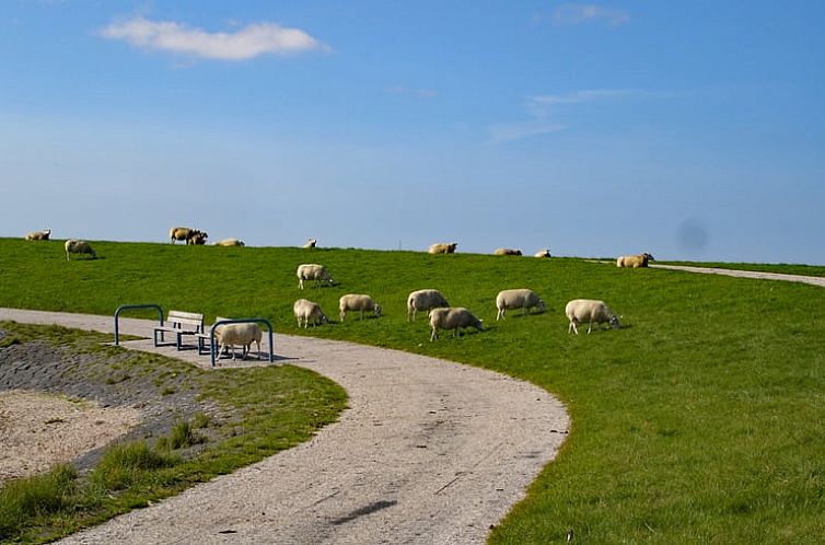 Huisje in Oosterend Terschelling