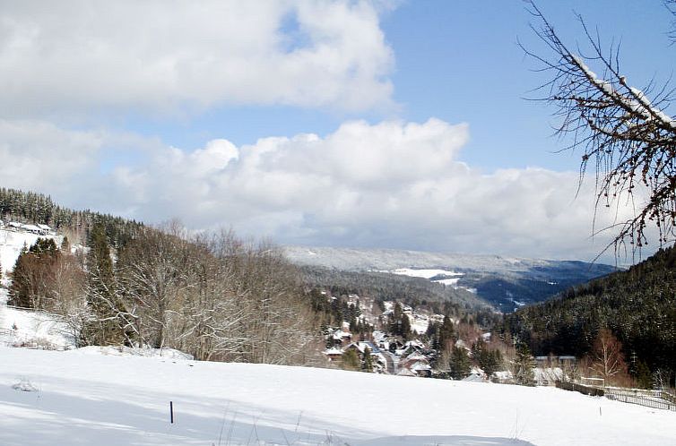 Appartement Blechnerhof