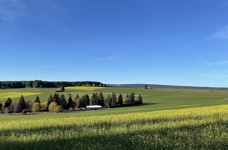 Vakantiehuis Zum munteren Eichhörnchen