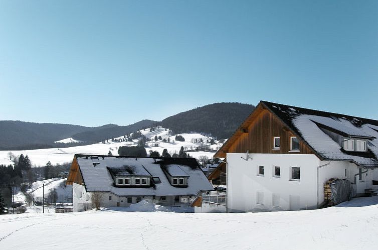 Appartement Schwarzwaldblick IV