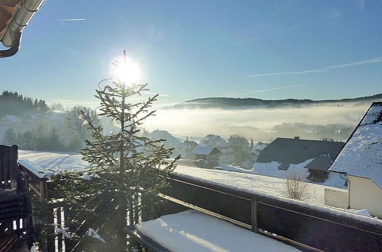 Appartement Schwarzwaldblick IV