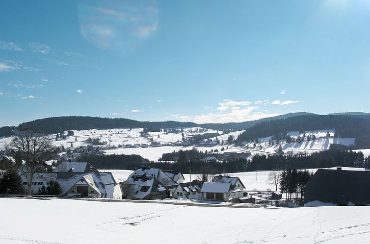 Appartement Schwarzwaldblick IV