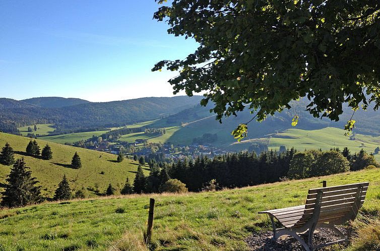 Appartement Schwarzwaldblick IV