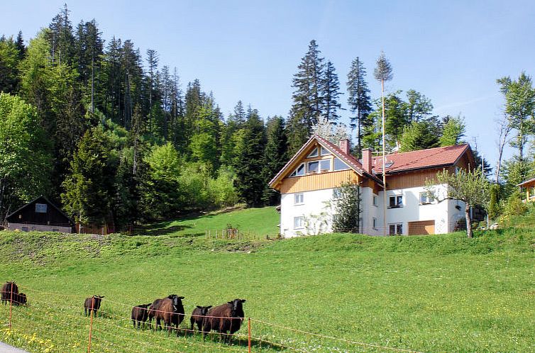 Appartement Mühlenmichelshäusle