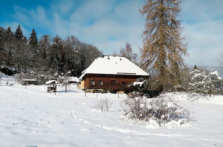 Vakantiehuis Bistenhof