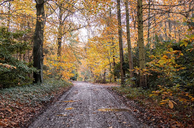 Huisje in Leuven Hageland