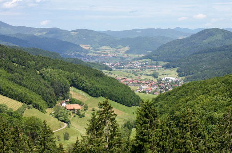 Appartement Schmalzenhof