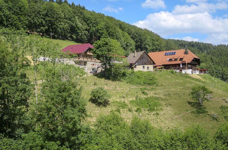 Appartement Schmalzenhof