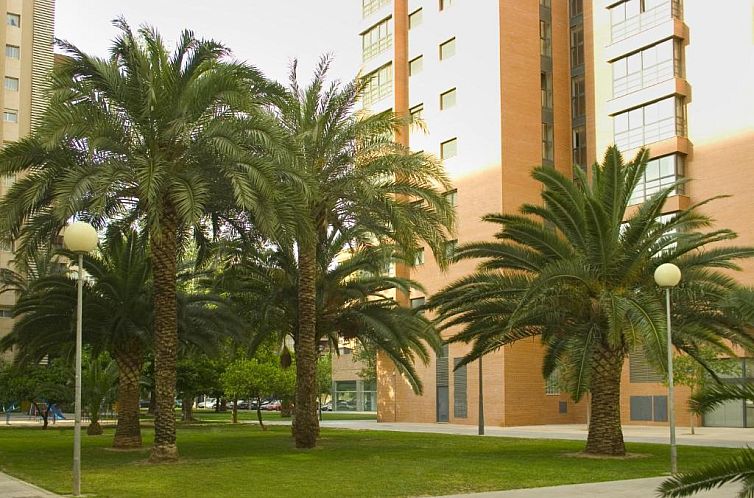 Apartamentos Plaza Picasso